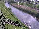 玉川橋付近のカメラ画像