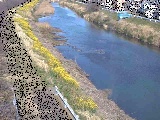 渋田川 新大縄橋付近のカメラ画像