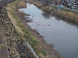 新大縄橋付近のカメラ画像