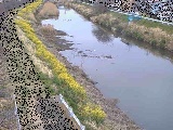 渋田川 新大縄橋付近のカメラ画像