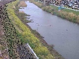 新大縄橋付近のカメラ画像
