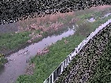 小出川 一ツ橋付近のカメラ画像