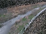 一ツ橋付近のカメラ画像
