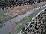 小出川 一ツ橋付近のカメラ画像