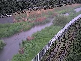 小出川 一ツ橋付近のカメラ画像