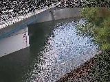 境川 境川橋付近のカメラ画像