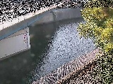 境川橋付近のカメラ画像