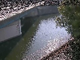 境川 境川橋付近のカメラ画像
