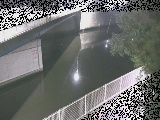 境川 境川橋付近のカメラ画像