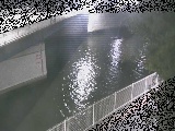 境川 境川橋付近のカメラ画像