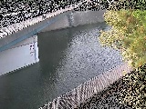 境川 境川橋付近のカメラ画像