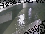 境川 境川橋付近のカメラ画像