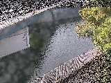 境川橋付近のカメラ画像