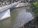 境川橋付近のカメラ画像