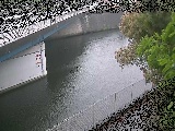 境川 境川橋付近のカメラ画像