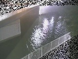 境川橋付近のカメラ画像