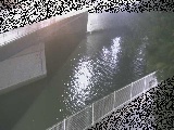 境川橋付近のカメラ画像