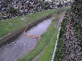 大清水橋付近のカメラ画像