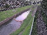 境川 大清水橋付近のカメラ画像