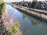 引地川 大平橋付近のカメラ画像
