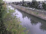 大平橋付近のカメラ画像