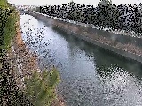 大平橋付近のカメラ画像