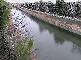 引地川 大平橋付近のカメラ画像