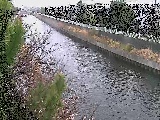 大平橋付近のカメラ画像