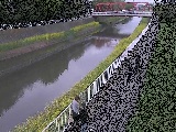 新鶴嶺橋付近のカメラ画像