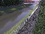 新鶴嶺橋付近のカメラ画像