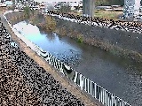 引地川 石川橋付近のカメラ画像