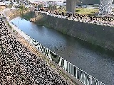 石川橋付近のカメラ画像