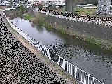 引地川 石川橋付近のカメラ画像