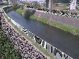 石川橋付近のカメラ画像