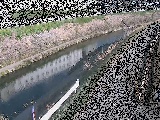 高鎌橋付近のカメラ画像