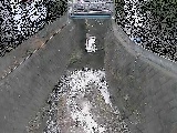 大津橋付近のカメラ画像