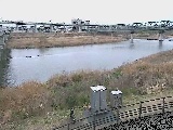 相模川 相模大橋付近のカメラ画像