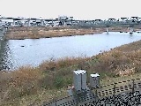 相模川 相模大橋付近のカメラ画像