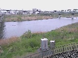 相模川 相模大橋付近のカメラ画像