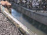 境川 境橋付近のカメラ画像