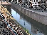 境橋付近のカメラ画像