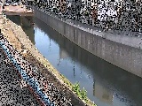 境橋付近のカメラ画像