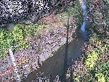 引地川 八幡橋付近のカメラ画像