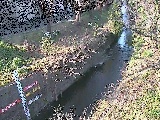 引地川 八幡橋付近のカメラ画像