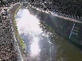 蓼川 上土棚新橋付近のカメラ画像