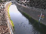蓼川 上土棚新橋付近のカメラ画像