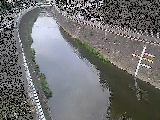 蓼川 上土棚新橋付近のカメラ画像