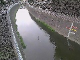 蓼川 上土棚新橋付近のカメラ画像