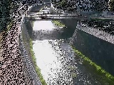 蓼川 松山橋付近のカメラ画像