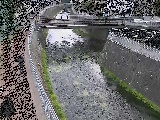 蓼川 松山橋付近のカメラ画像